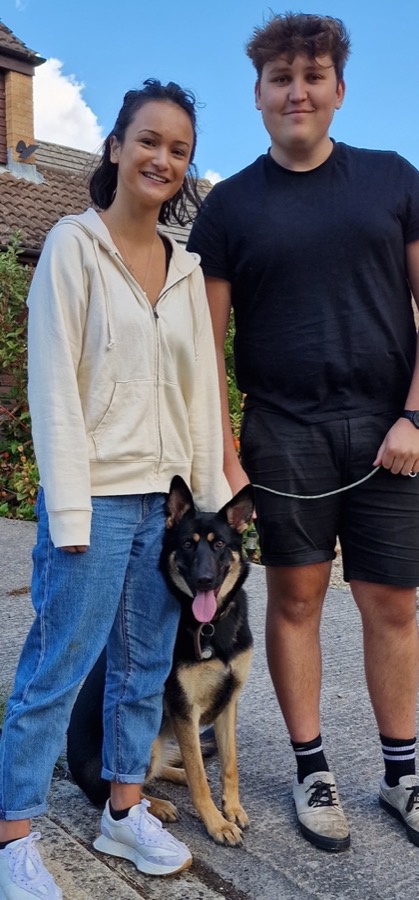 German shepherd wantage